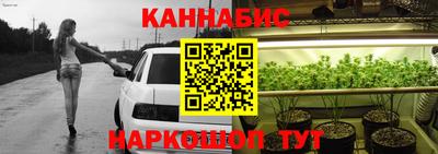 скорость Новозыбков