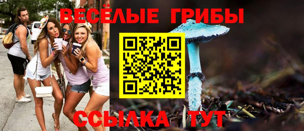 Партизанск  Галлюциногенные грибы Magic Shrooms  Вход с VPN 